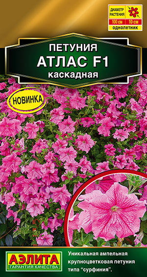 Петуния Атлас каскадная F1_ЦП