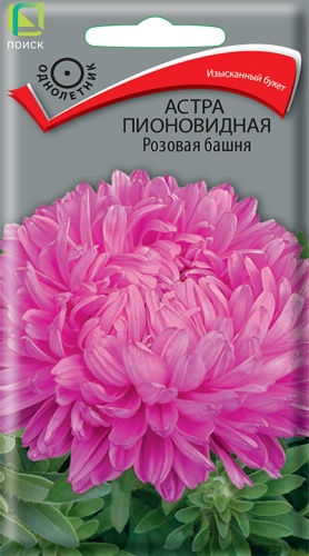 astra_pion_rozovaya_bashnya