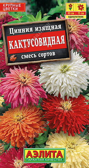 Цинния Кактусовидная