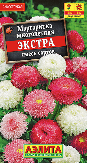 Маргаритка Экстра, смесь сортов_ЦП