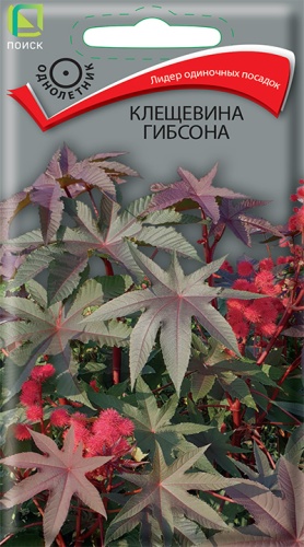 kleshevina_gibsona