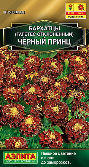 Бархатцы Черный принц