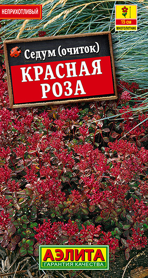 Седум Красная роза_ЦП