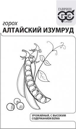 Горох алтайский изумруд