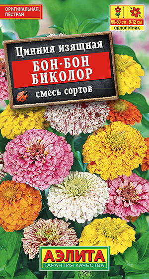 Цинния Бон-бон биколор, смесь окрасок_ЦП