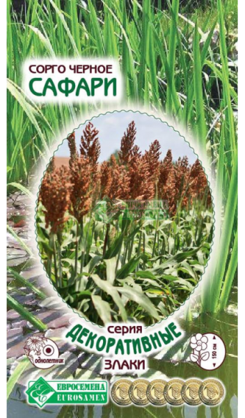 Сорго Сафари