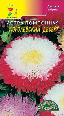 Астра десерт королевский