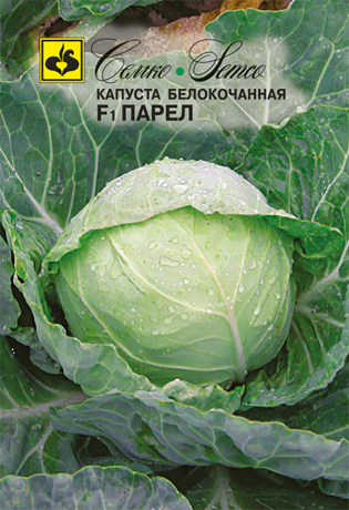 kapusta_belokochannaya_parel