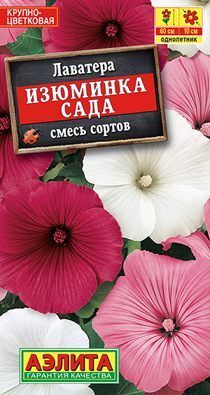Лаватера Изюминка сада, смесь сортов_ЦП