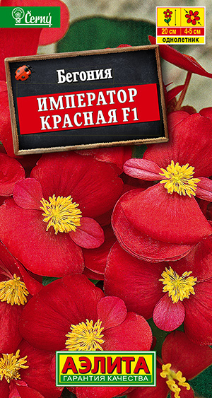 Бегония вечноцветущая Император красная F1_ЦП