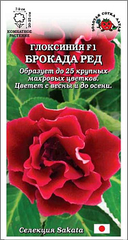 Глоксиния Брокада Ред (5шт) Золотая Сотка/10