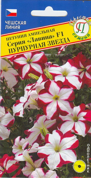 Петуния Лавина Пурпурная звезда