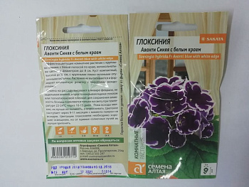 Глоксиния Аванти Синяя с бел.краем 8 шт F1 СемАлт/10