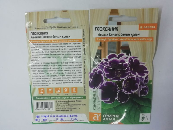 11Глоксиния Аванти Синяя с бел.краем 8 шт F1 СемАлт/10