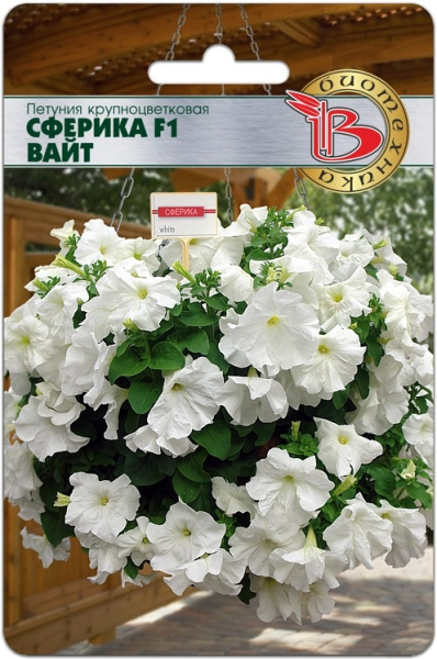 Петуния Сферика Вайт