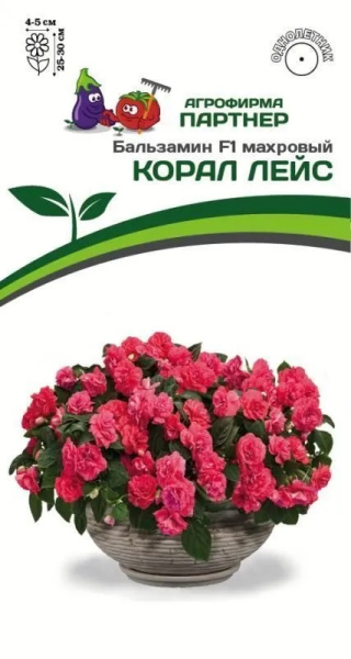 Бальзамин корал лейс