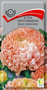 Астра Дюшес Абрикосовая пионовидная (0,3г) Поиск/10