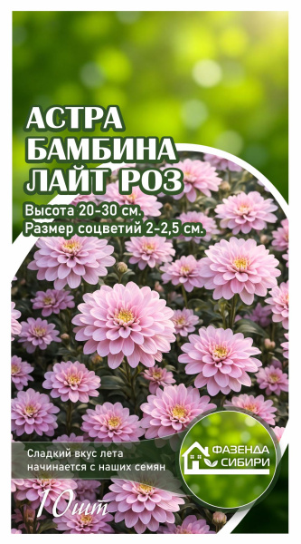Астра Бамбина Лайт Роз