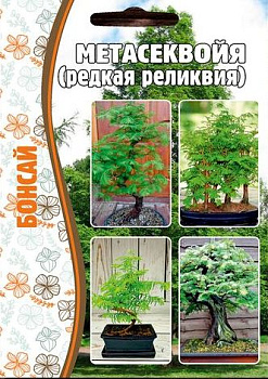 Метасеквойя (10шт) Редкие овощи/10