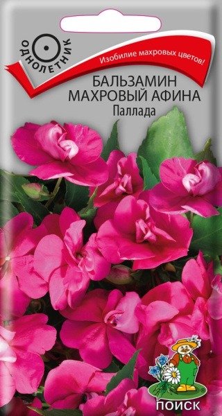 Бальзамин махровый Афина Паллада