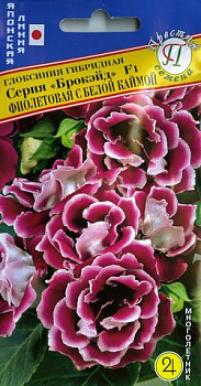 Глоксиния Брокэйд Фиолетовая с белой каймой F1 (5др) Престиж/10