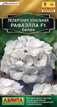 Пеларгония Рафаэлла F1 белая (5шт) Аэлита/10