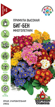 Примула Биг-Бен (20шт) УДС Гавриш/10