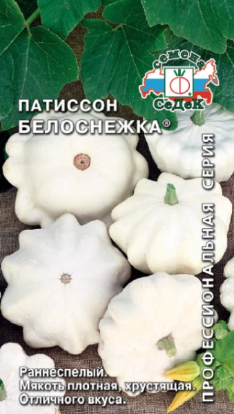 patisson_belosnezhka