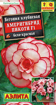 Бегония Америгибрид Пикоти бело-красная F1 (5шт) Аэлита/10