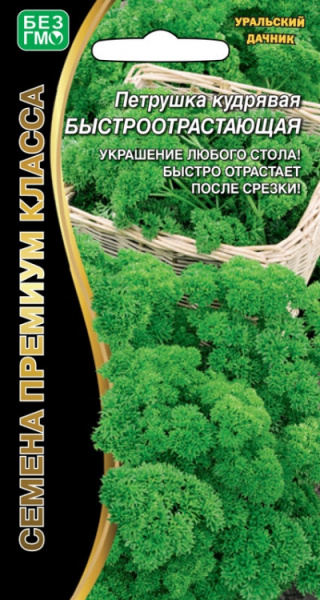 petrushka-kudryavaya-bystro-otrastayuschaya