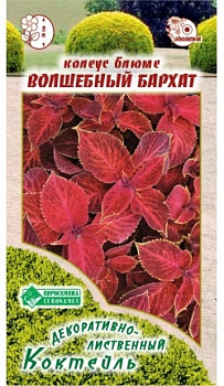 Колеус Волшебный Бархат блюме (10шт) Евросемена/10