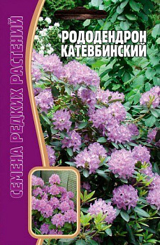 Рододендрон Катевбинский (10шт) Редкие овощи/10