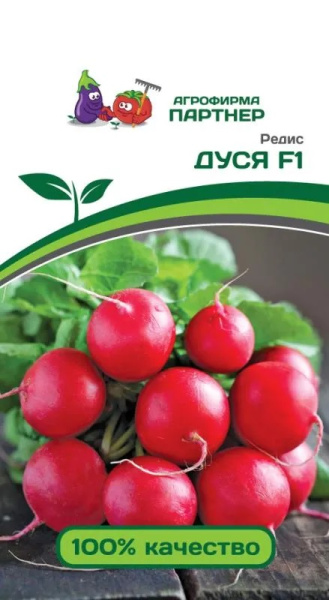 Редис дуся