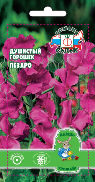 dushistyy_goroshek_pezaro