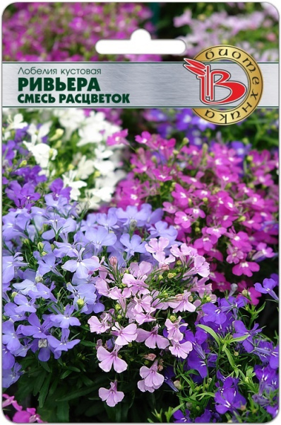 Ривьера