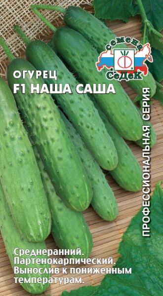 ogurets_nasha_sasha_f1
