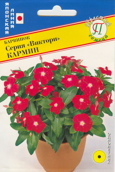 Виктория кармин