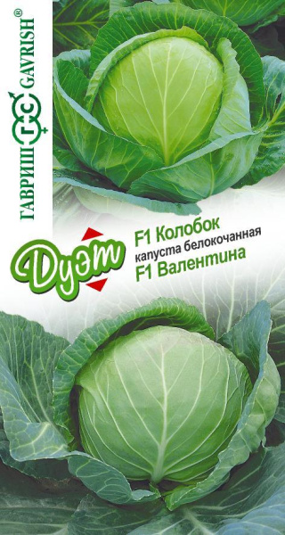 Капуста белокоч. Валентина +Колобок