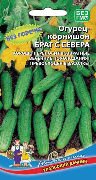Брат с севера