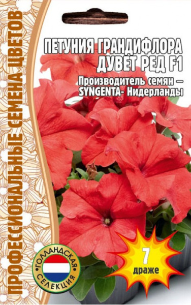 Петуния дувет ред