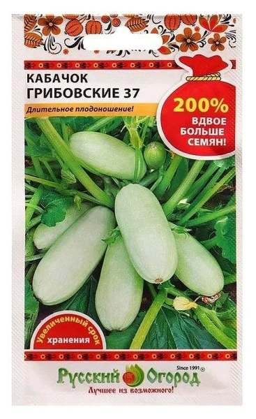 Кабачок Грибовские