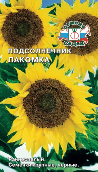 podsolnechnik_lakomka