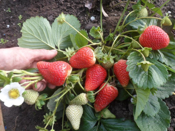 2d16c0e37d9e3c14f156b1b0dd7f2d5e