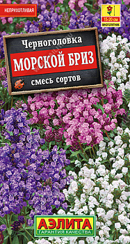 Черноголовка Морской бриз, смесь (0,05г) Аэлита/10