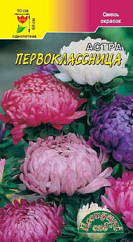 Астра Первоклассница, смесь пионовид. (0,2г) ЦвСад/10
