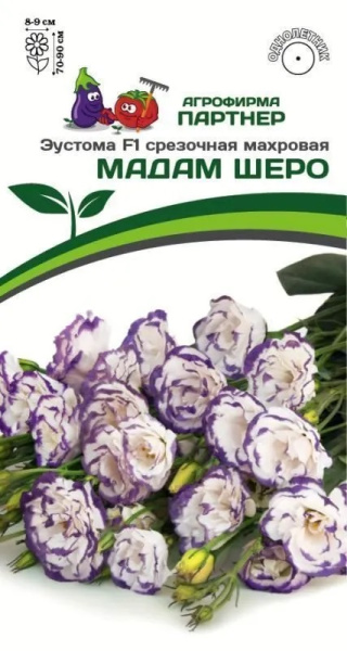 Эустома мадам шеро