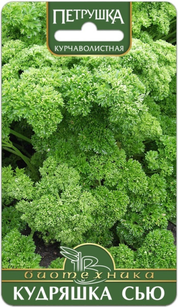 Петрушка кудряшка сью