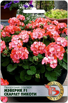 Пеларгония Мэверик Скарлет Пикоти F1 (5шт) Биотехника/10