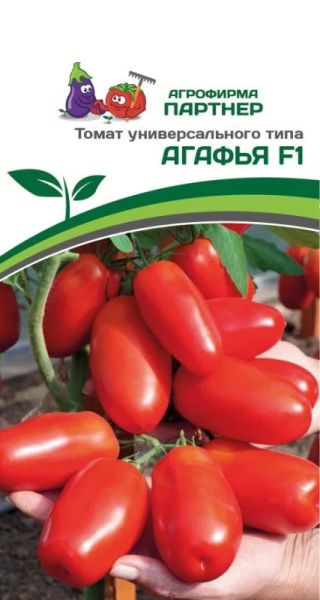 Томат Агафья