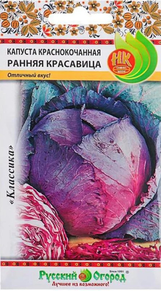 Капуста кк Ранняя красавица